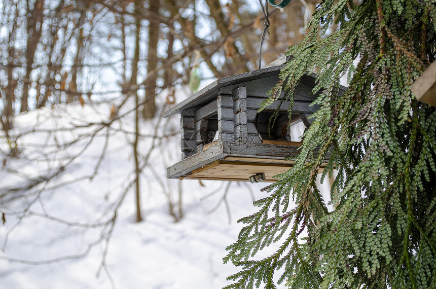 鸟饲料者钉在冬季有洞的小原木上图片