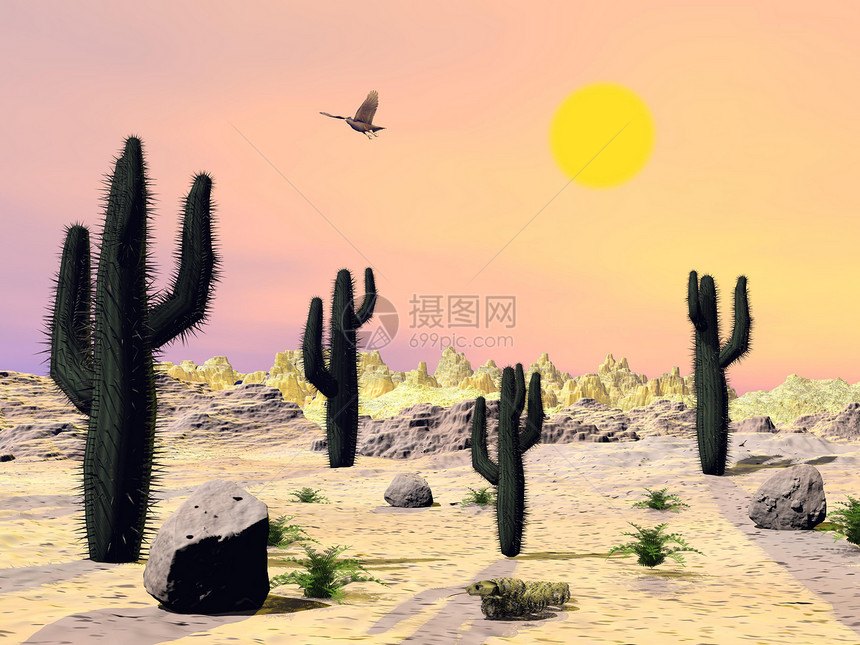 亚利桑那沙漠 - 3D图片
