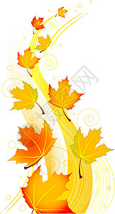 秋季旋转植物背景棕色叶子绘画橙子漩涡黄色插图金子背景图片