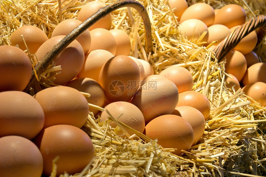 新鲜鸡蛋稻草农场乡村产品团体棕色食物家禽蛋壳黄色图片