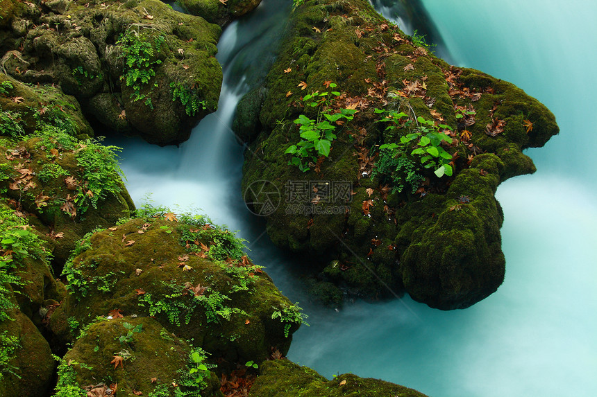 环绿溪中的岩石石头环境叶子旅行溪流绿色公园流动火鸡速度图片
