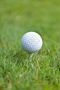 绿色草地上的高尔夫球和铁 大型夏季户外运动活动球具宏观场地游戏金属娱乐闲暇推杆背景图片