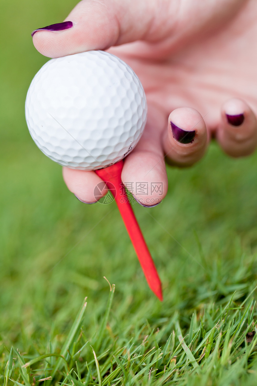 绿色草地上的高尔夫球和铁 大型夏季户外球具娱乐推杆宏观球座闲暇竞赛活动高尔夫课程图片