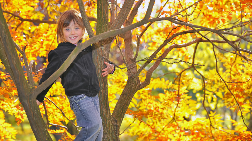 女孩吊在树上图片