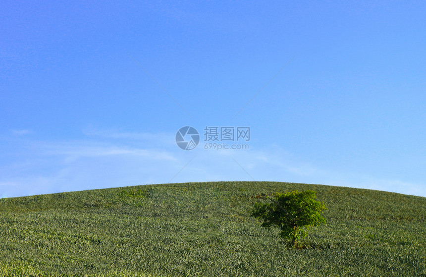 绿山地平线国家牧场绿色花园乡村蓝色土地晴天环境图片