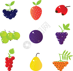 红葡萄新鲜的夏季浆果和异国水果在白色上被孤立插画
