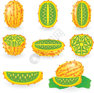 基瓦诺电脑热带收藏小吃网络食物情调异国插图黄瓜插画