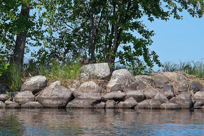 湖边的石头海岸树叶晴天反射叶子蓝色风景草本植物苔藓石质岩石图片