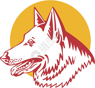 德国牧狗羊犬插图艺术品背景图片