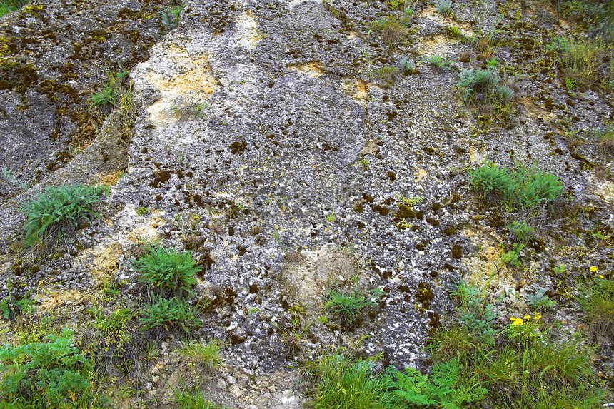 旧石块模具风景水泥生活材料树叶苔藓行星植物旅游图片