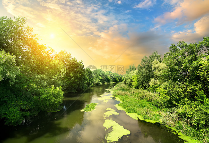 日落时静静的河流田园太阳色彩生态浮萍蓝色阳光季节生长池塘图片