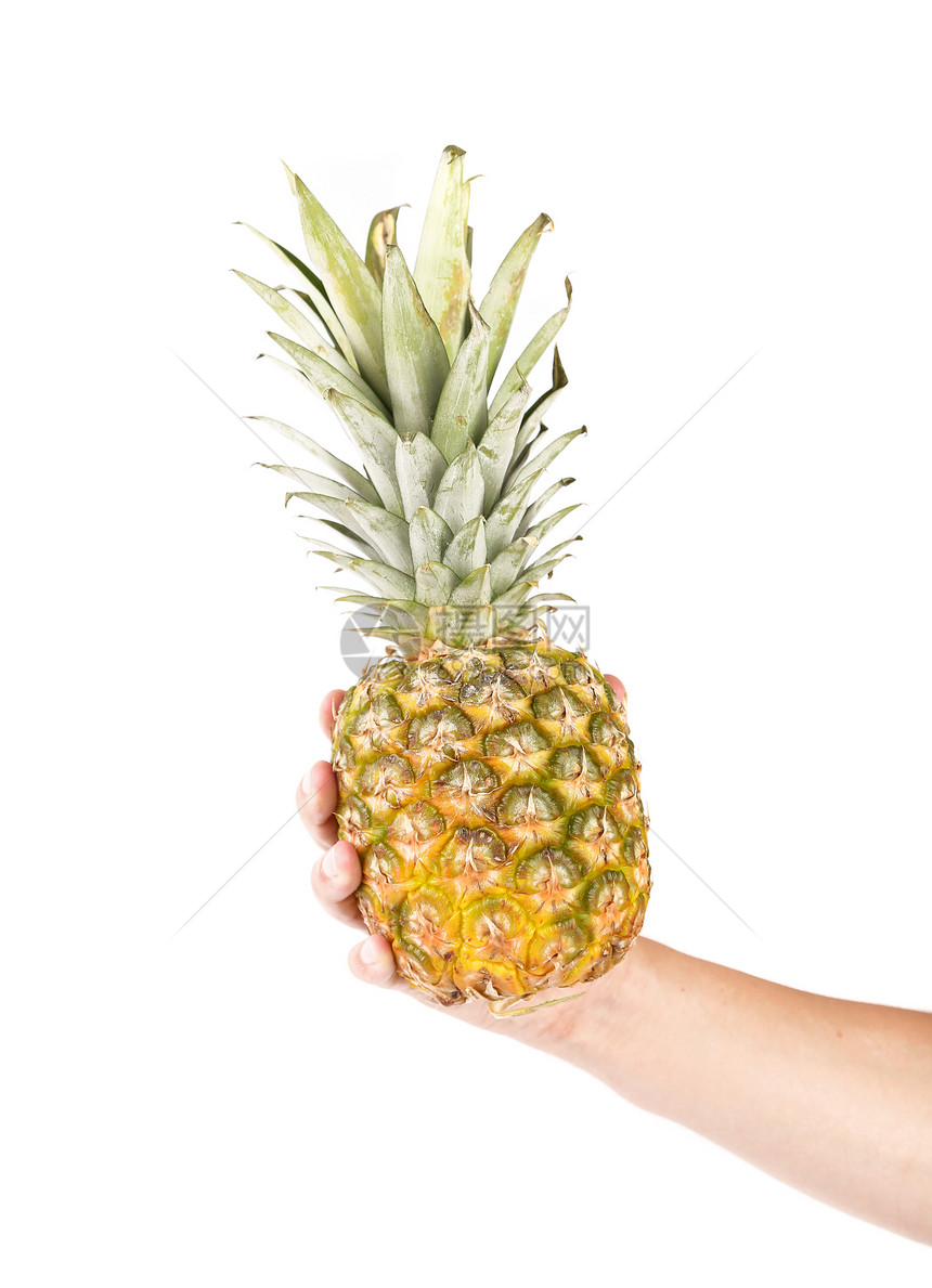 成熟菠萝的手掌松树食物白色黄色热带水果甜点图片