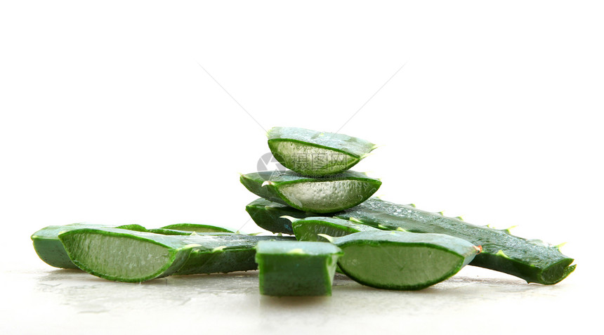 Aloe 阴阳草本化妆品宏观植物药品叶子肉质植物学医疗绿色图片
