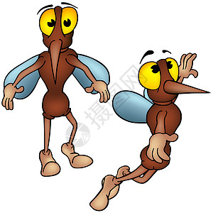 蚊虫飞行长腿翅膀手绘绘画昆虫甲虫棕色翻白眼库蚊插画