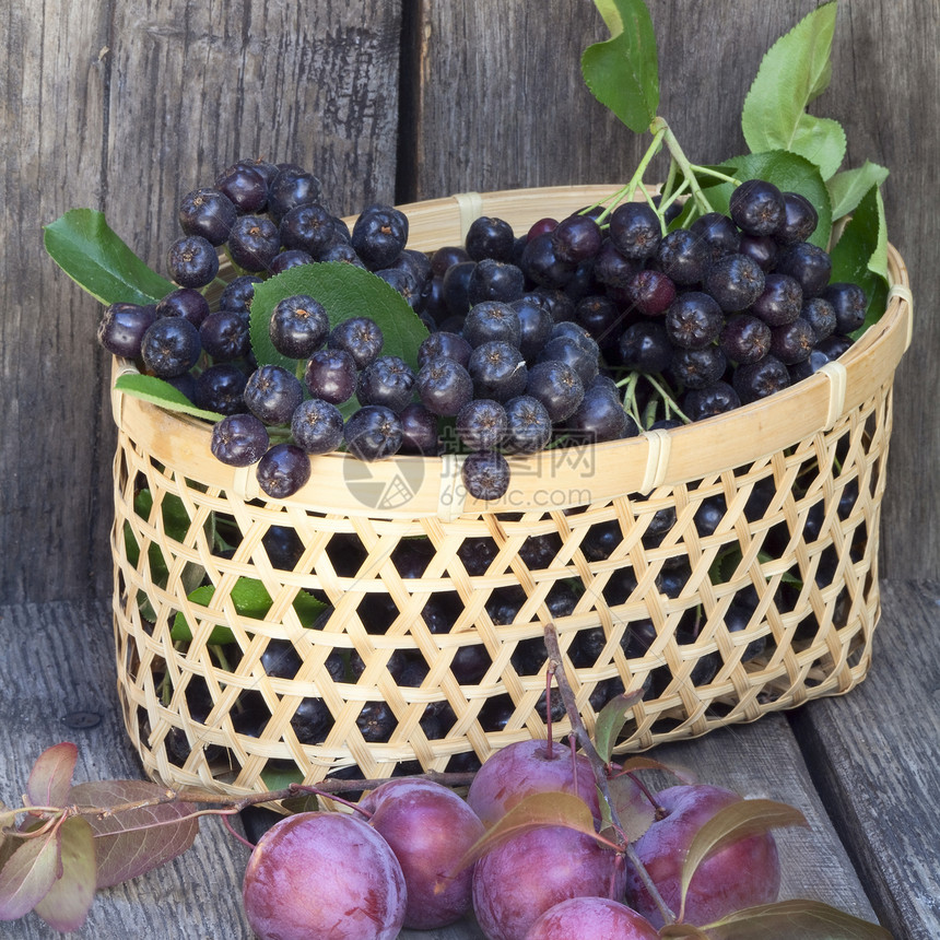 黑栗莓和梅子图片