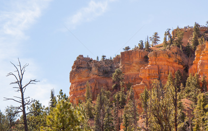 黄金悬崖风景季节性山脉踪迹游客森林红色石头全景小路图片