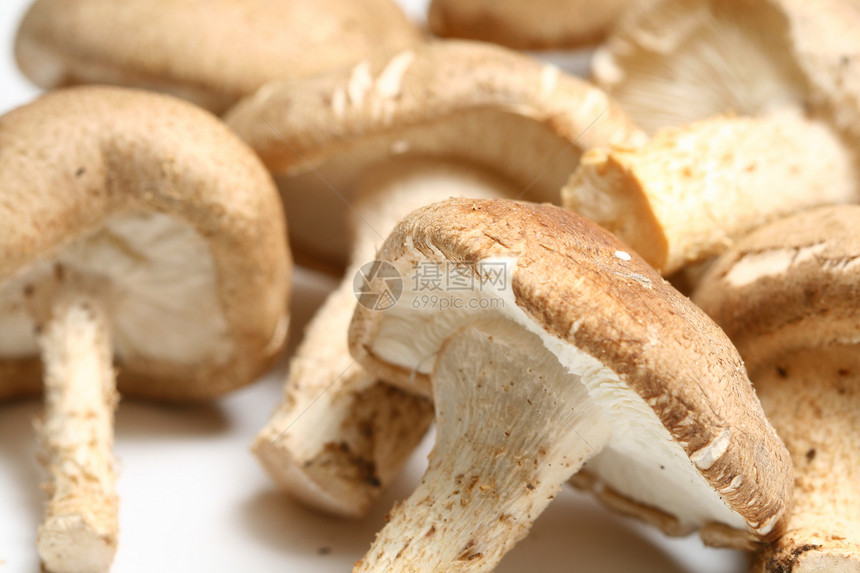 蘑菇培育烹饪愈合生产蔬菜美食情调棕色药品异国图片