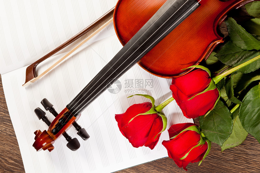 红玫瑰和小提琴玫瑰周年花束乐器中提琴细绳古董纪念日音乐文化图片