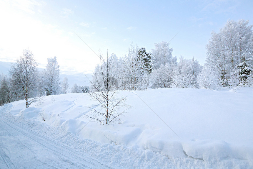 冬季风景蓝色天气天空场地环境旅行童话森林国家降雪图片