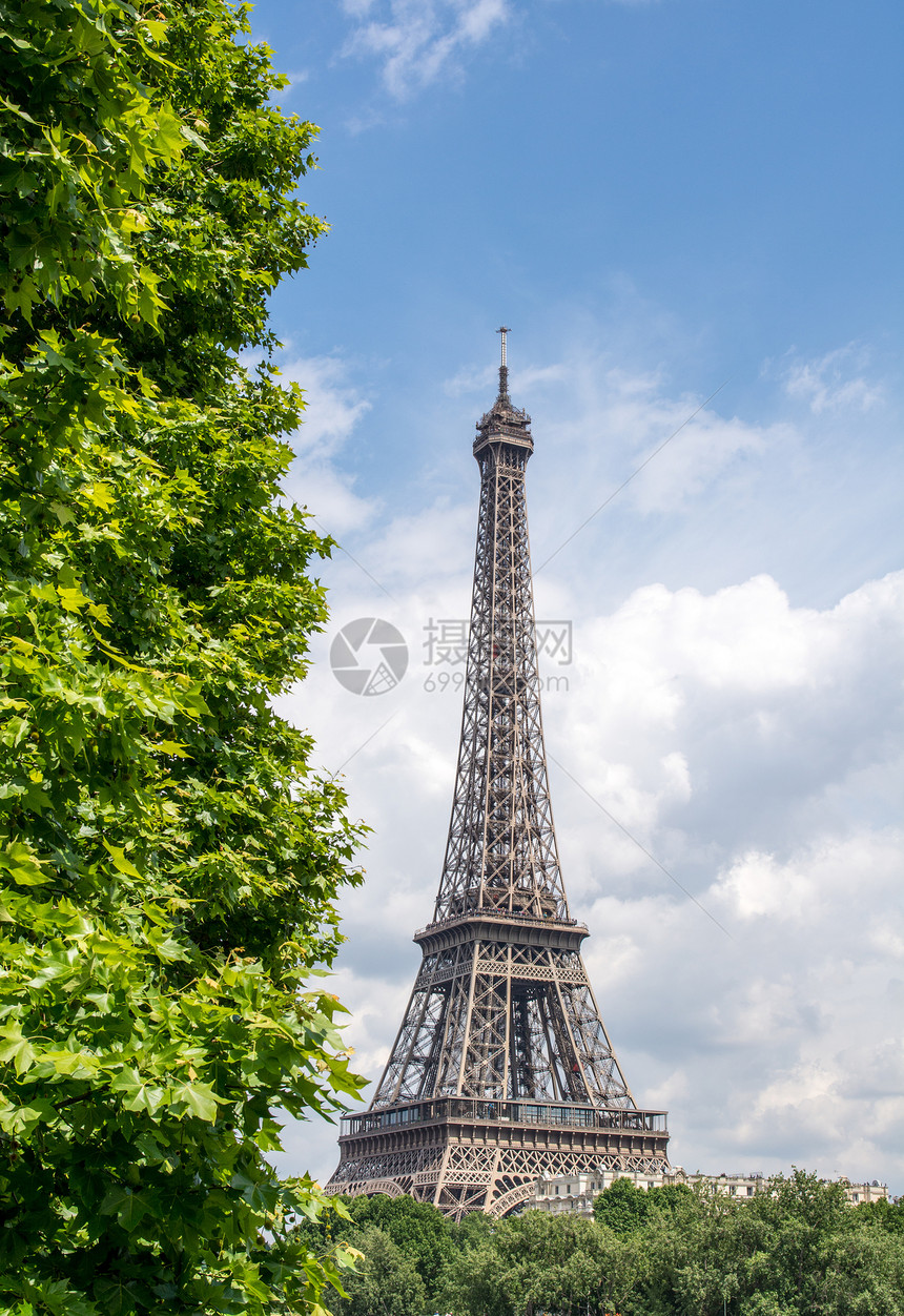 巴黎埃菲尔铁塔 艾菲尔环绕着树木图片