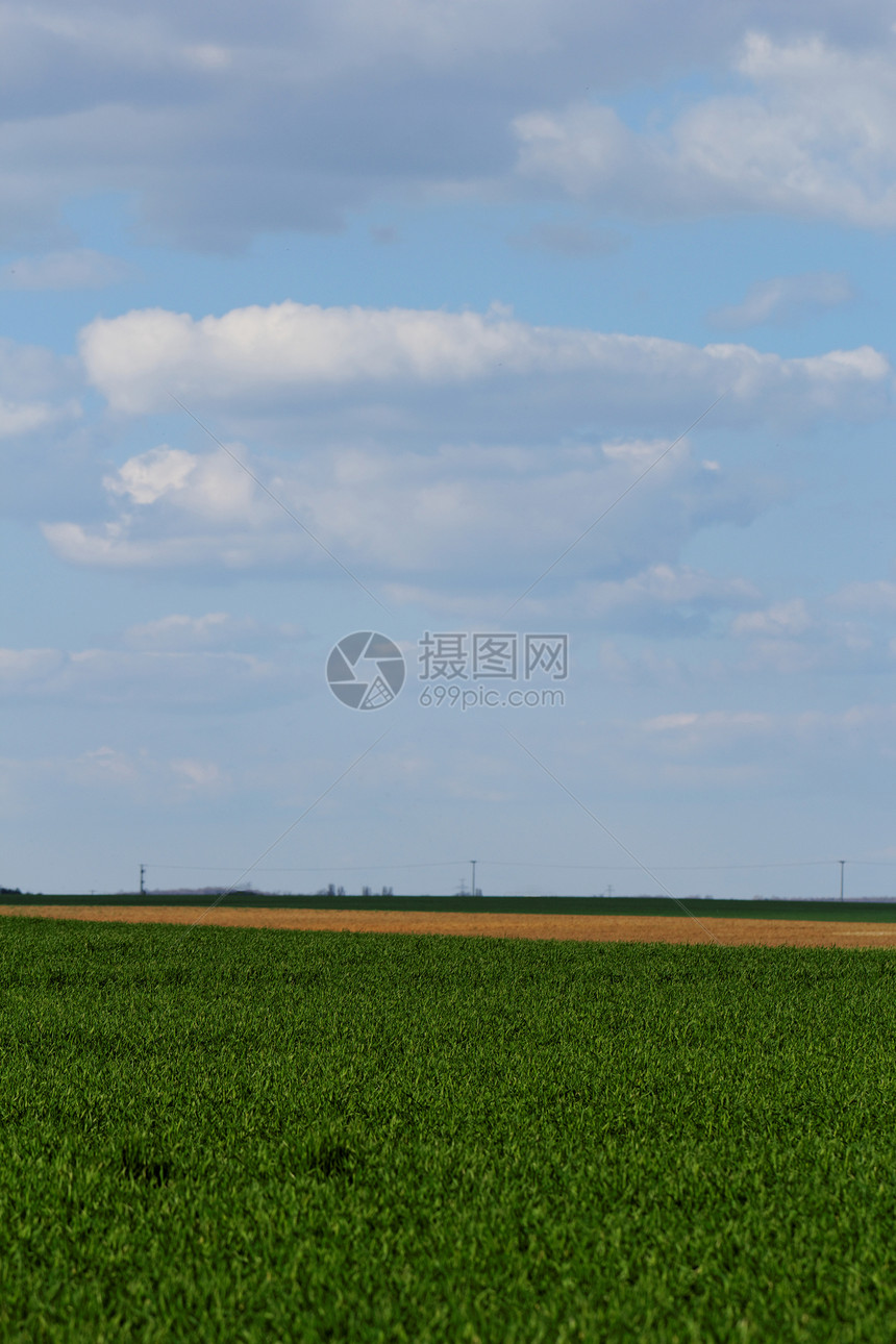 蓝云天空下的小麦田农田环境蓝色农场谷物天气草原农业生长场地图片
