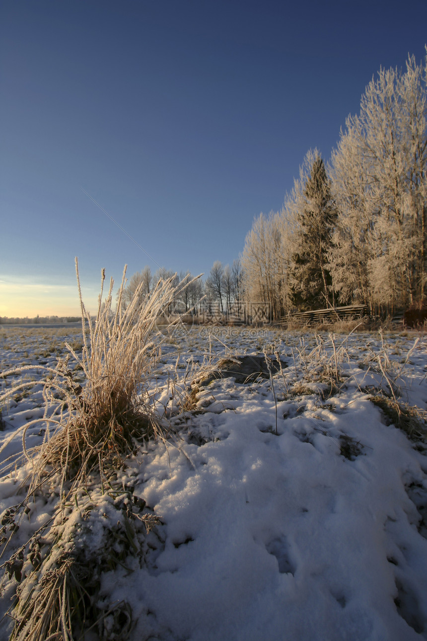 冬季风景场景墙纸晴天小路阳光美丽天气场地季节冻结图片