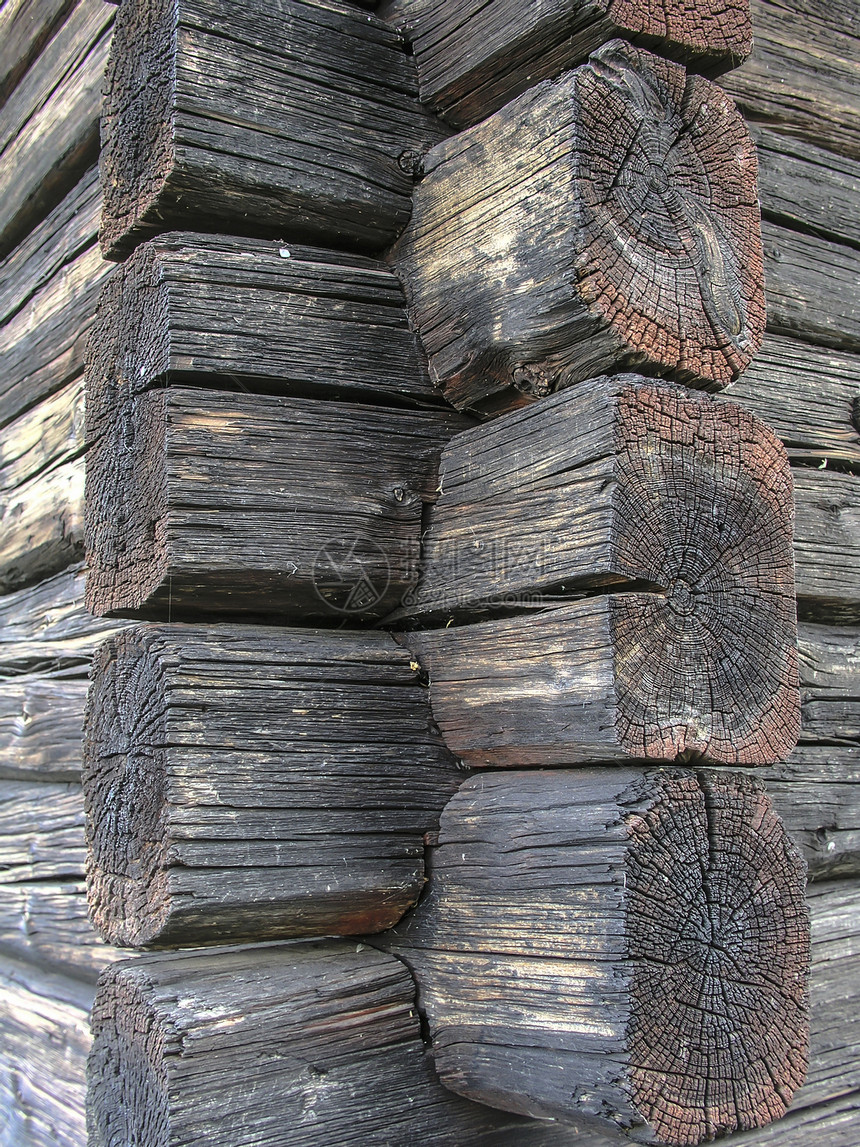防风林背景的栅栏松树木材材料墙纸木头木板风化建筑硬木控制板图片