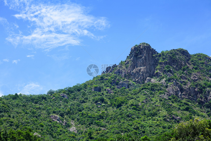 狮子摇滚山草地天空环境岩石远足地标绿色植物森林爬坡图片