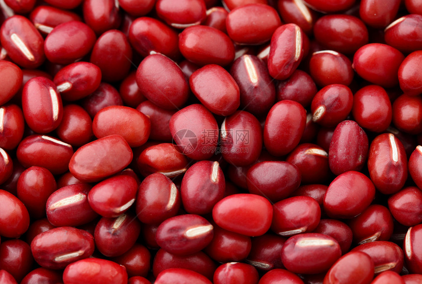 红背景美食粮食农业种子营养植物蔬菜核心食物宏观图片