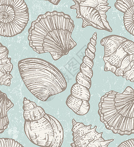 鹦鹉螺带海壳的矢量模式生活蜗牛螺旋手绘草图蓝色季节收藏动物海岸设计图片