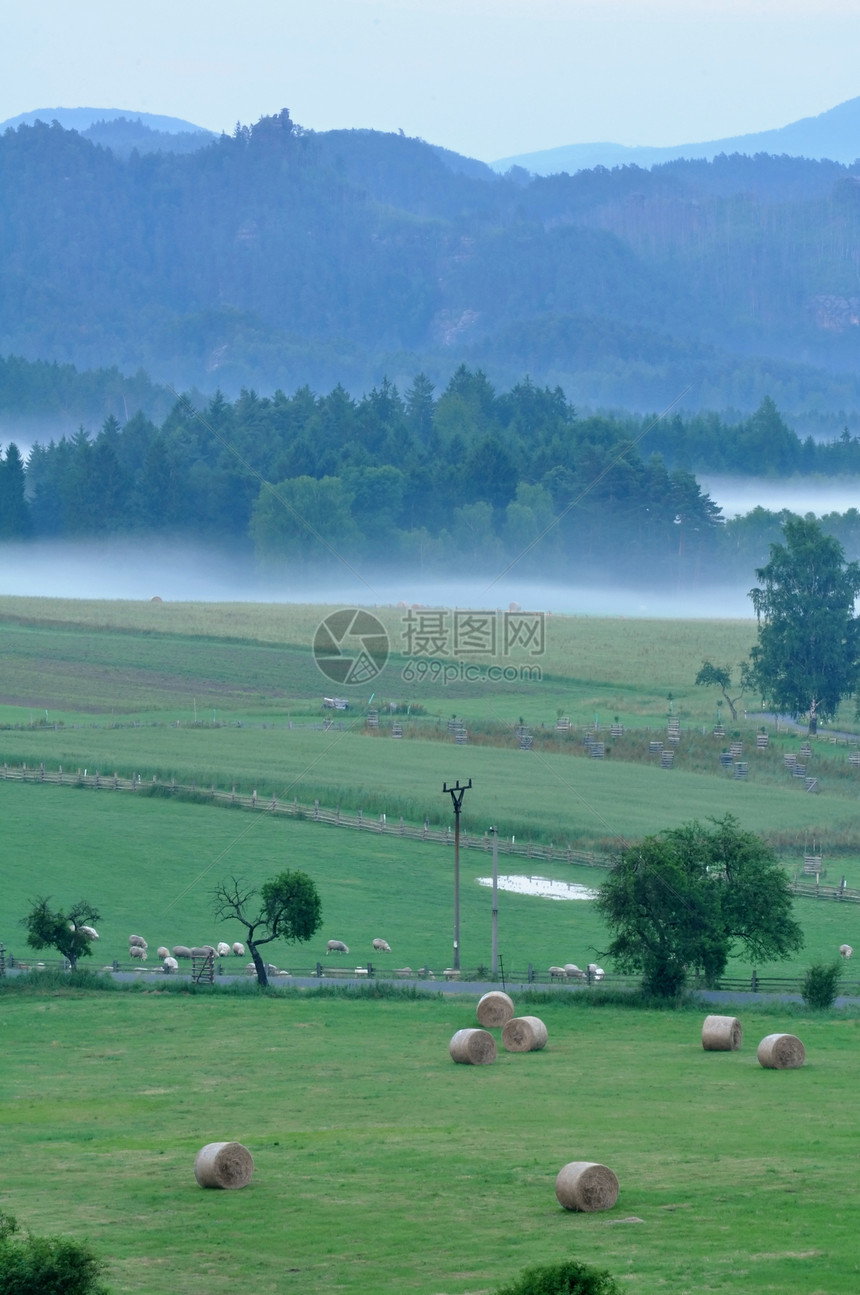 雾中的夜色风景场地阴霾生态天空植物土地环境场景季节爬坡图片