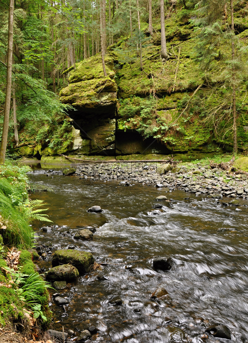 含石块的浅河木头森林季节瀑布旅行环境叶子荒野溪流流动图片
