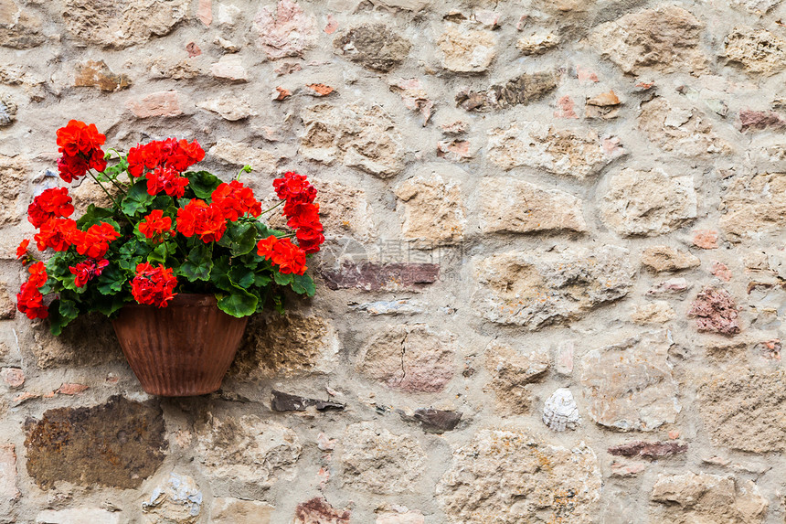 托斯卡纳花朵建筑古董旅行木头装饰入口风格植物石头房子图片