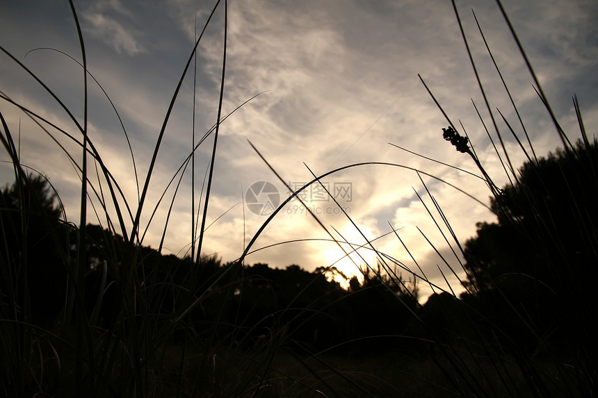 马德拉斯潘帕斯日落天空太阳草地日出阳光图片