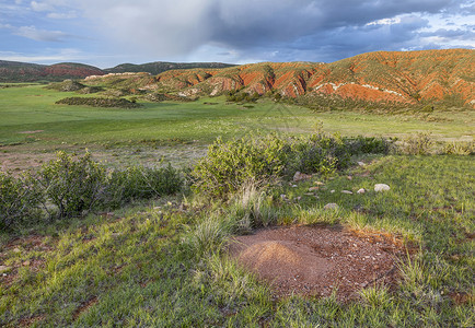 前端范围科罗拉多山区牧场草原崎岖草地范围石头前端红色悬崖蚁巢绿色背景