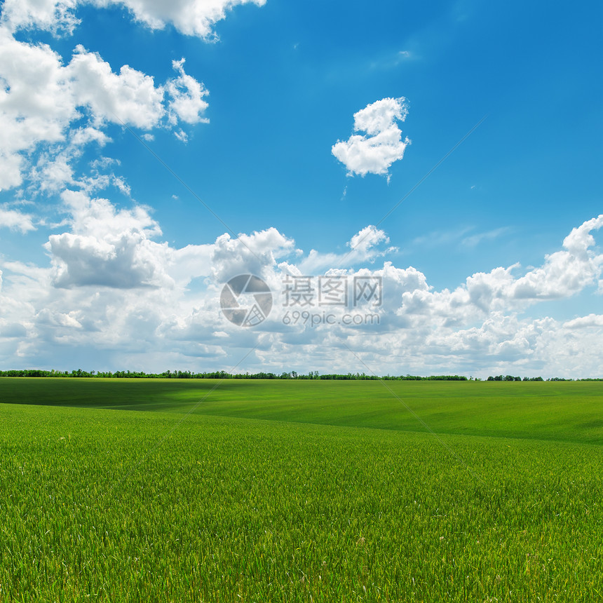 阴云的天空和绿地草地日光地平线阳光空气土地蓝色风景生长场地图片