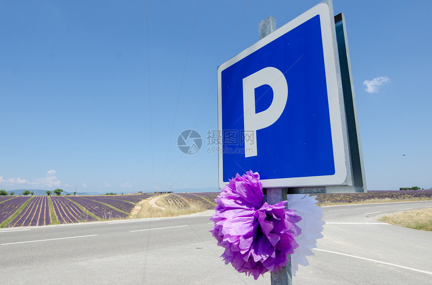 法国普罗旺斯州拉凡德地区停车标志治疗紫色疗法自然香气草本植物荒野蓝色篮子植物图片