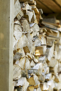 木柴硬木柴堆桦木贮存日志木材背景图片