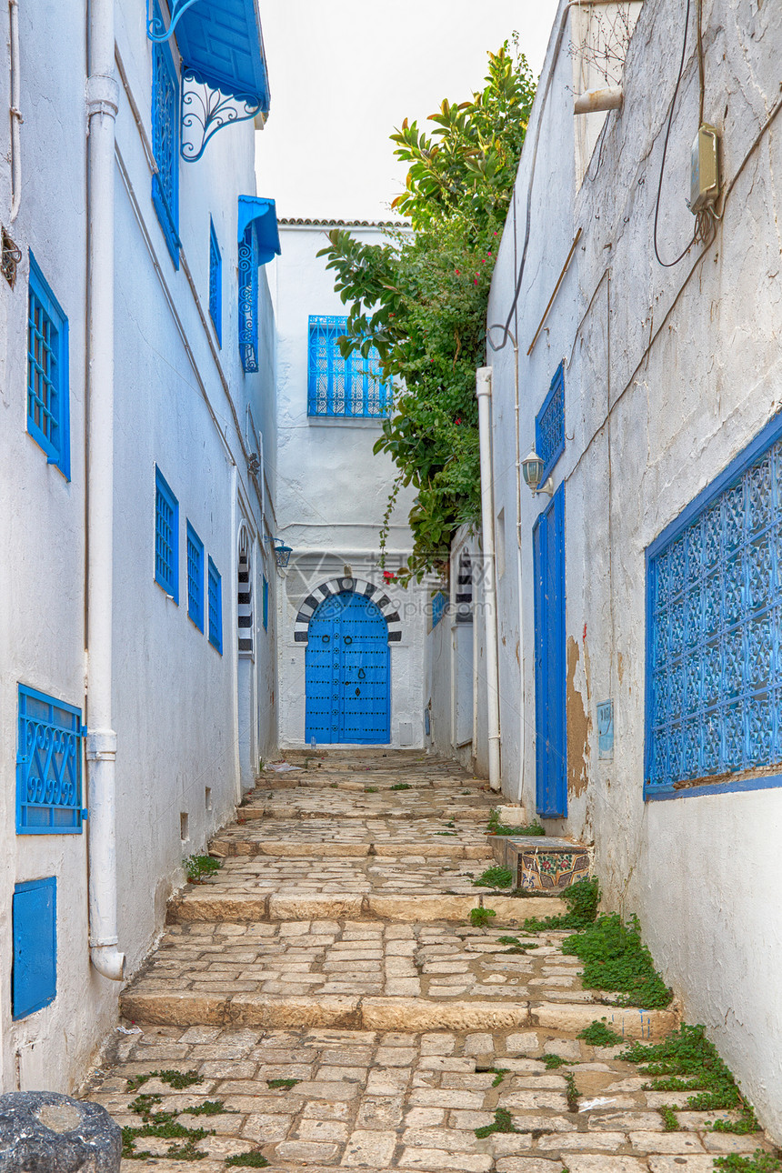 突尼斯 突尼斯的小街村庄建筑楼梯旅游胡同异国街道石头情调旅行图片