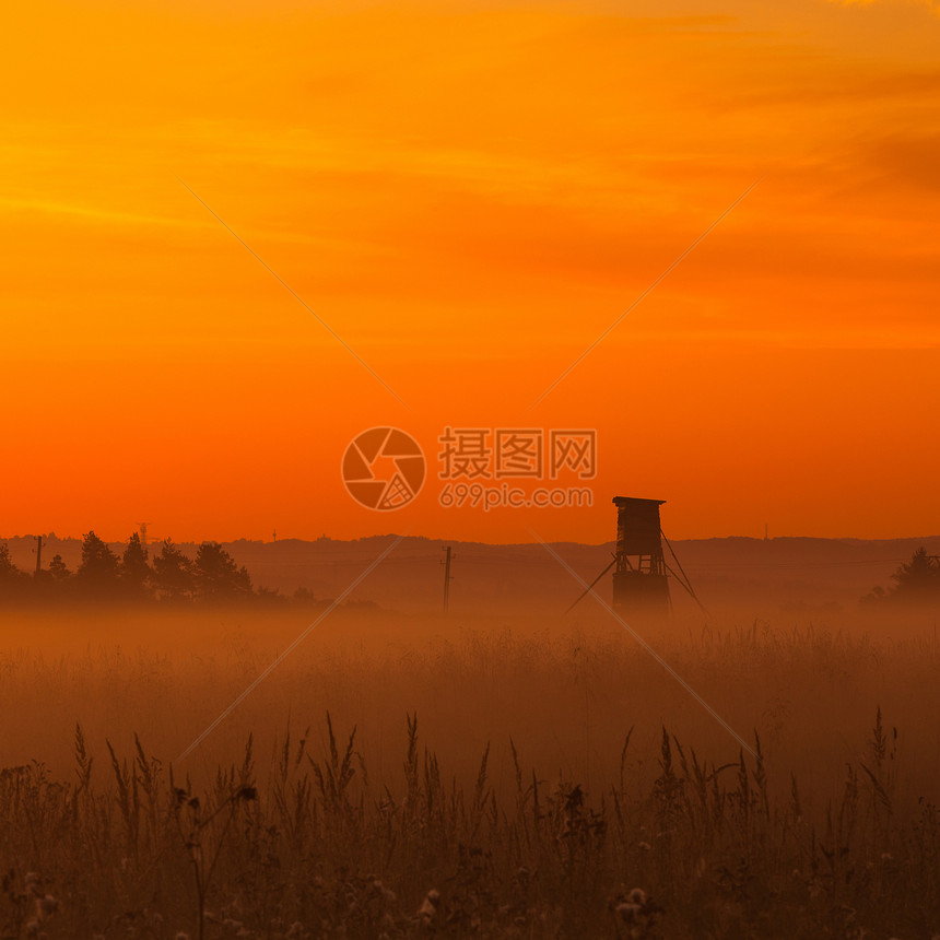典型的猎人塔在草地上日落森林薄雾场地灌木丛植物牧场风景日出图片