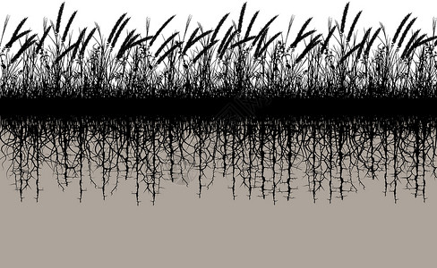 走基层草根土壤场地插图黑色植被杂草植物基层插画