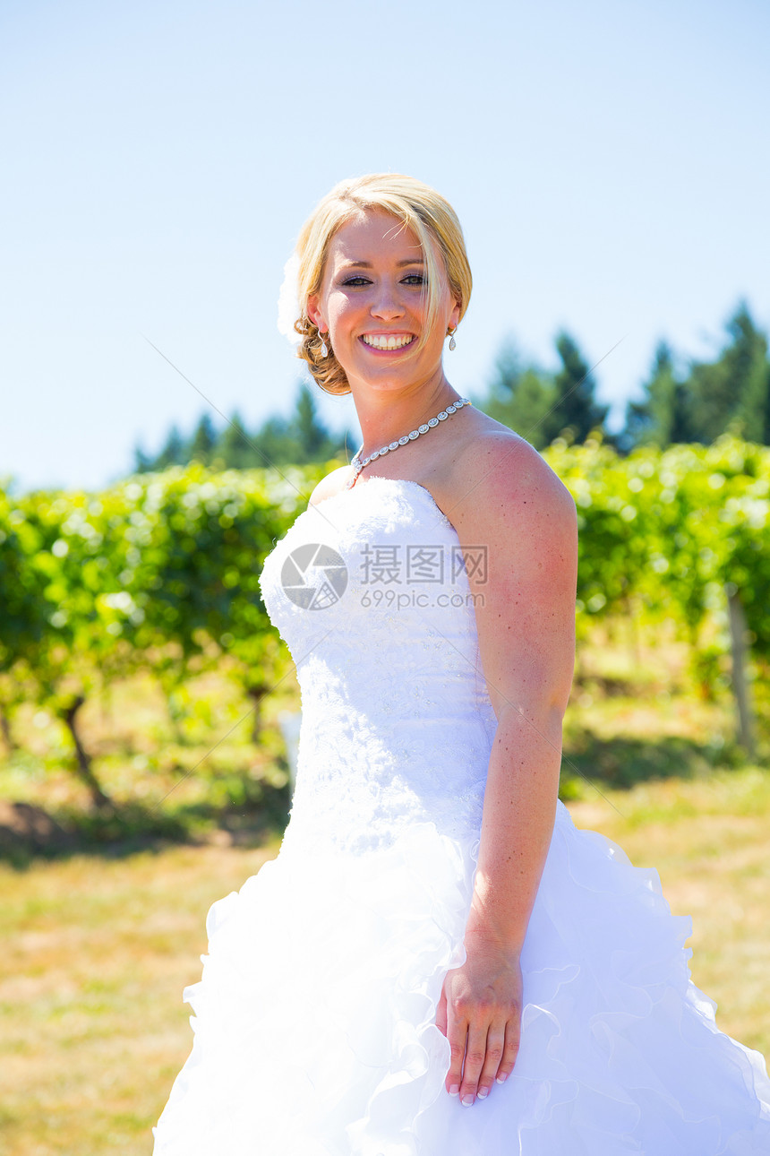 新娘结婚之日的新娘金发女郎女士葡萄园婚礼婚纱裙子誓言金发头发白色图片