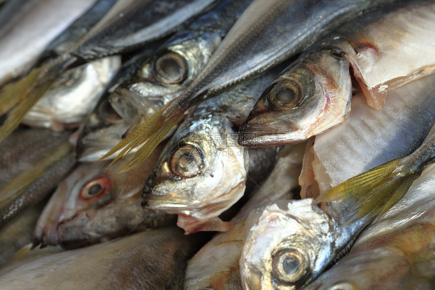 直肠蓝鱼市场食物水平饮食木头海鲜美食营养眼睛桌子图片