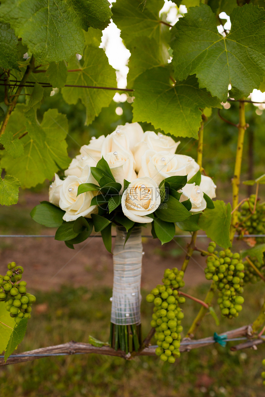 葡萄园的新娘布克婚礼庆典婚宴藤蔓派对白色玫瑰白玫瑰接待花朵图片
