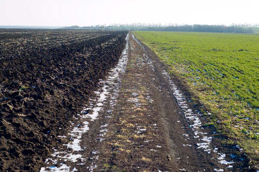 冬季公路谷物大麦草地地平线牧场农场植物农作物种子场景图片
