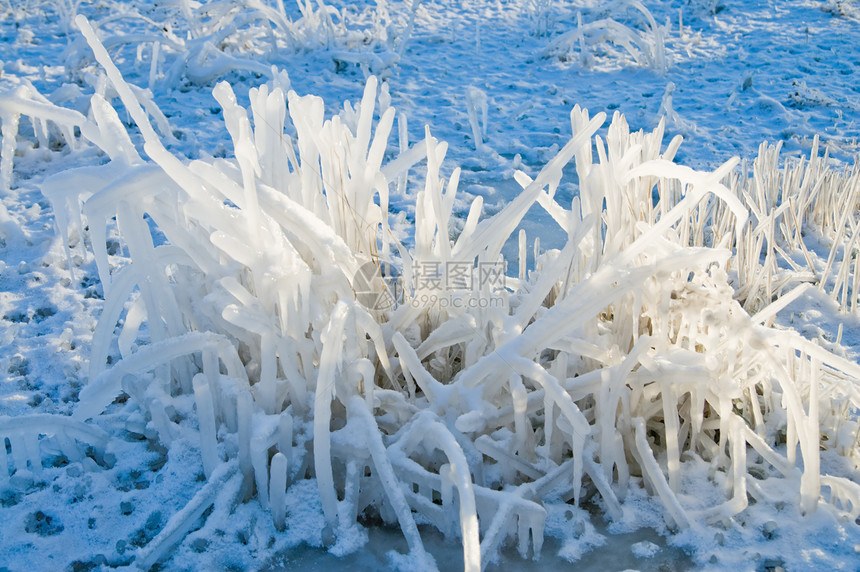 冰冻的青草雪花植物天气温度太阳蓝色水晶场景冰柱城市图片