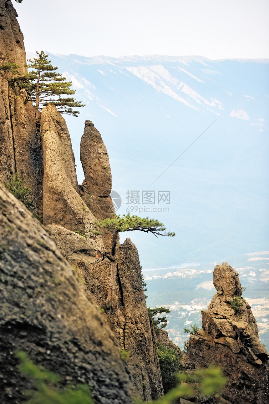 陡峭悬崖上的松树太阳植物阳光顶峰冒险岩石爬坡石头树木土地图片