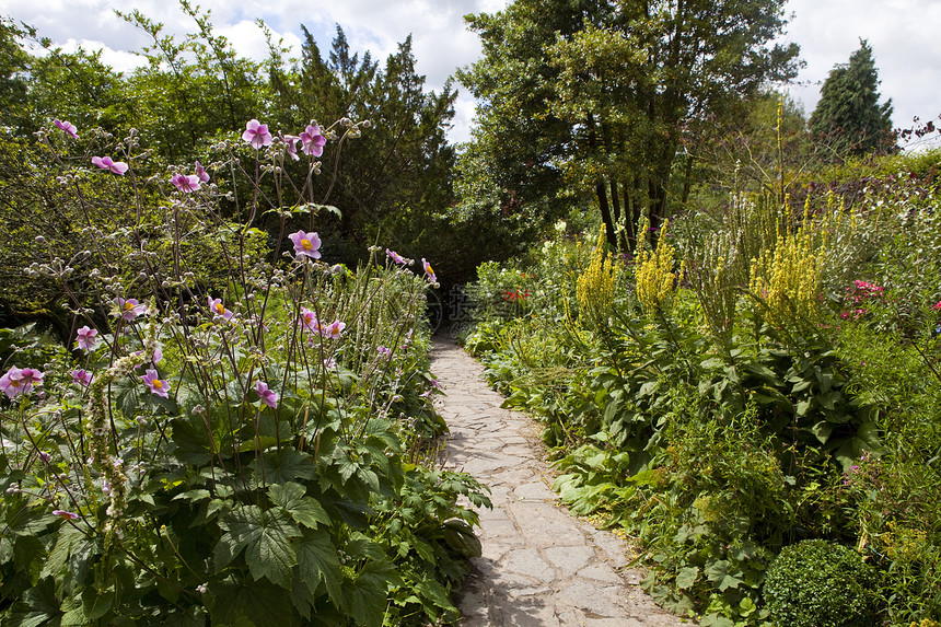 Glastonbury的花园建筑学地标英语国家全景血泉观光植物群精神景点图片
