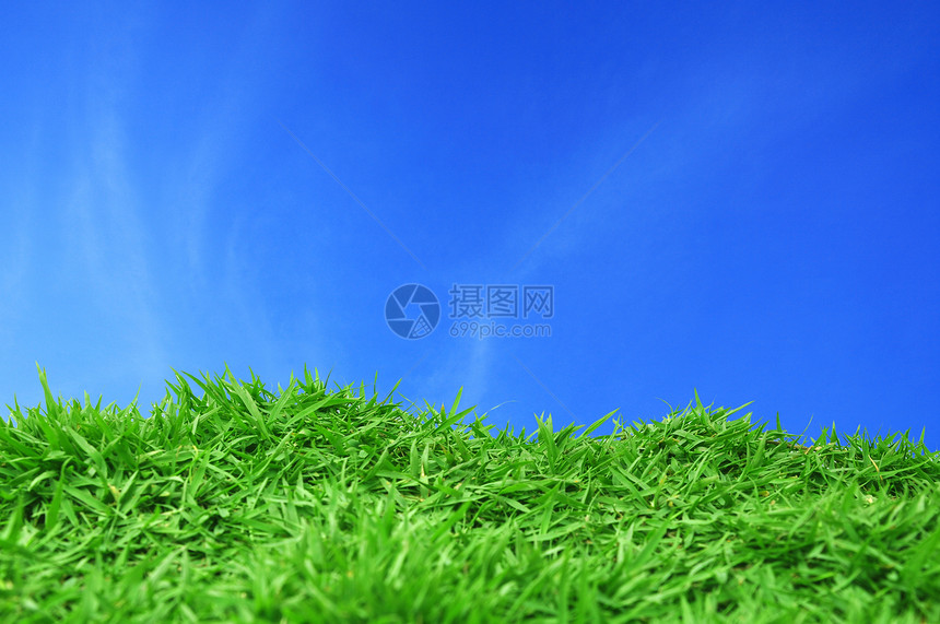 青草蓝的天空花园栅栏场地草地绿色图片