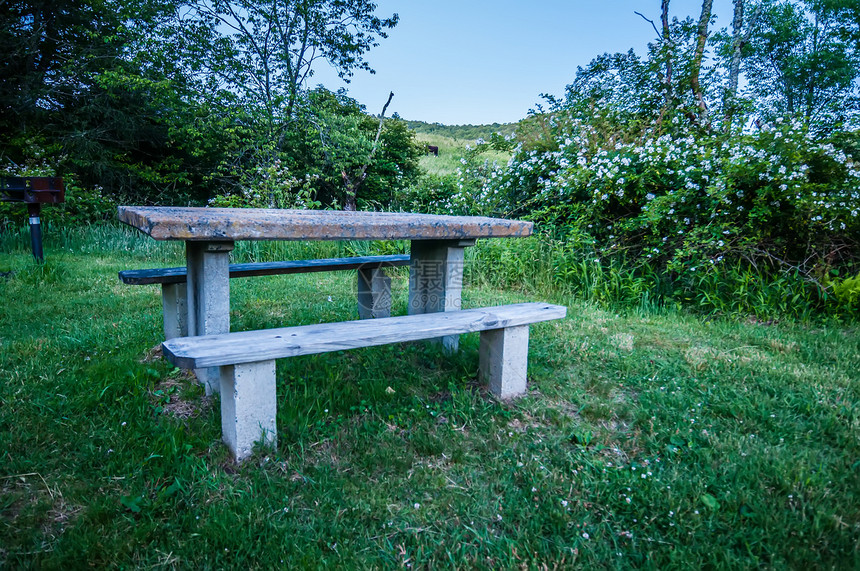 野餐桌和烤架木头桌子季节生长旅行植物绿色植物长椅阳光环境图片